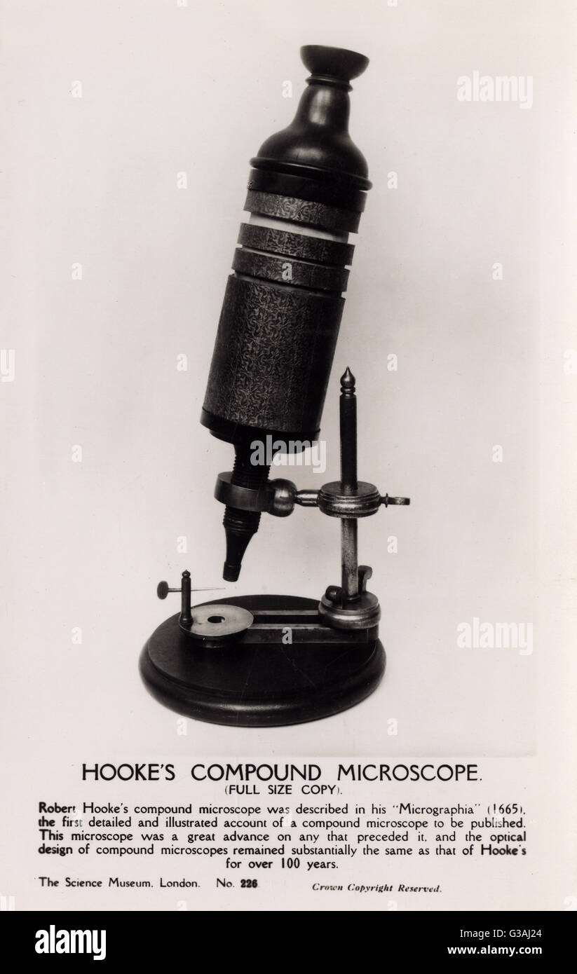 Robert Hooke's Microscope Stock Photo Alamy