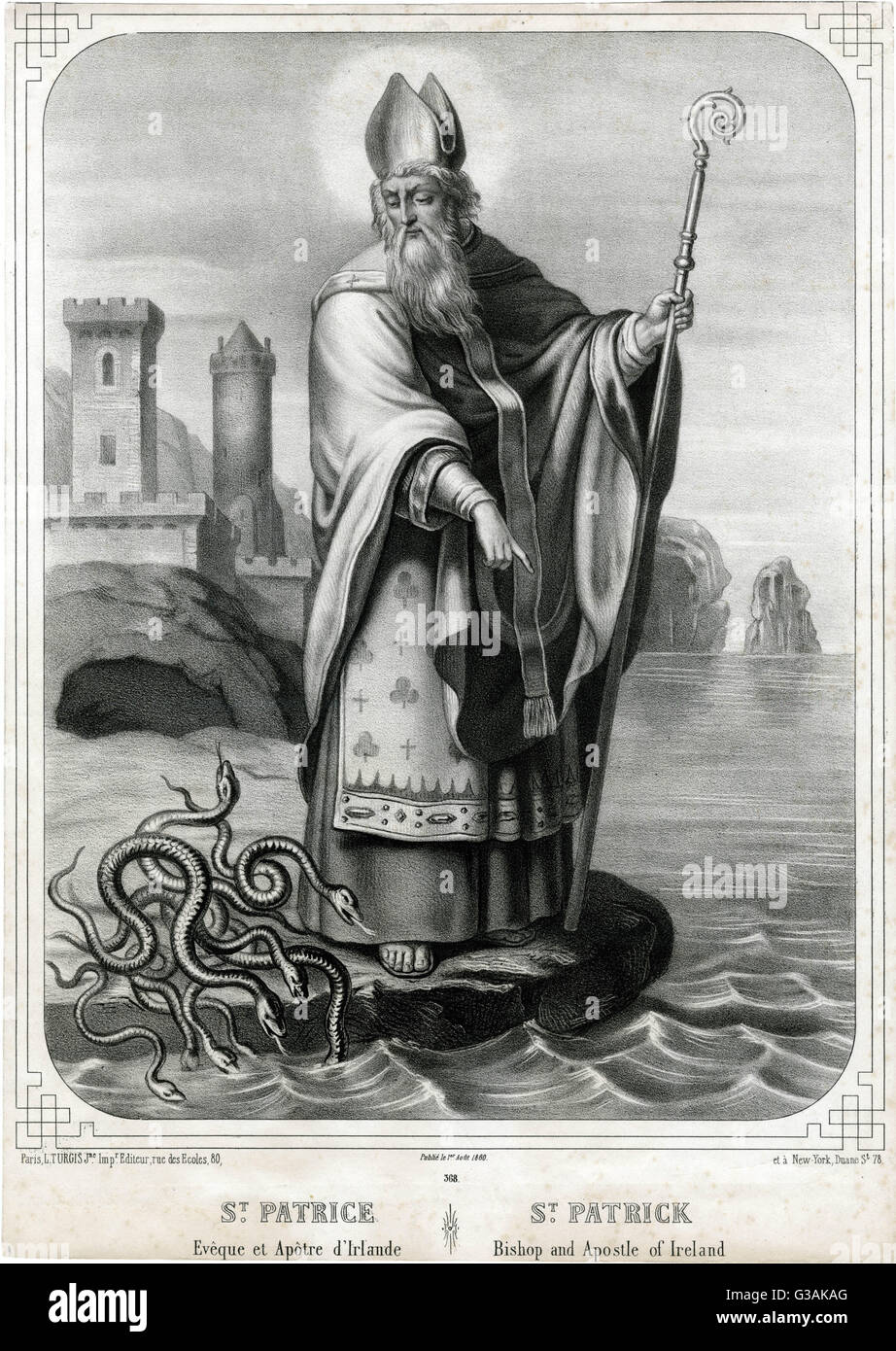 The absence of snakes in Ireland gave rise to the legend that they had all been banished by St. Patrick. Stock Photo