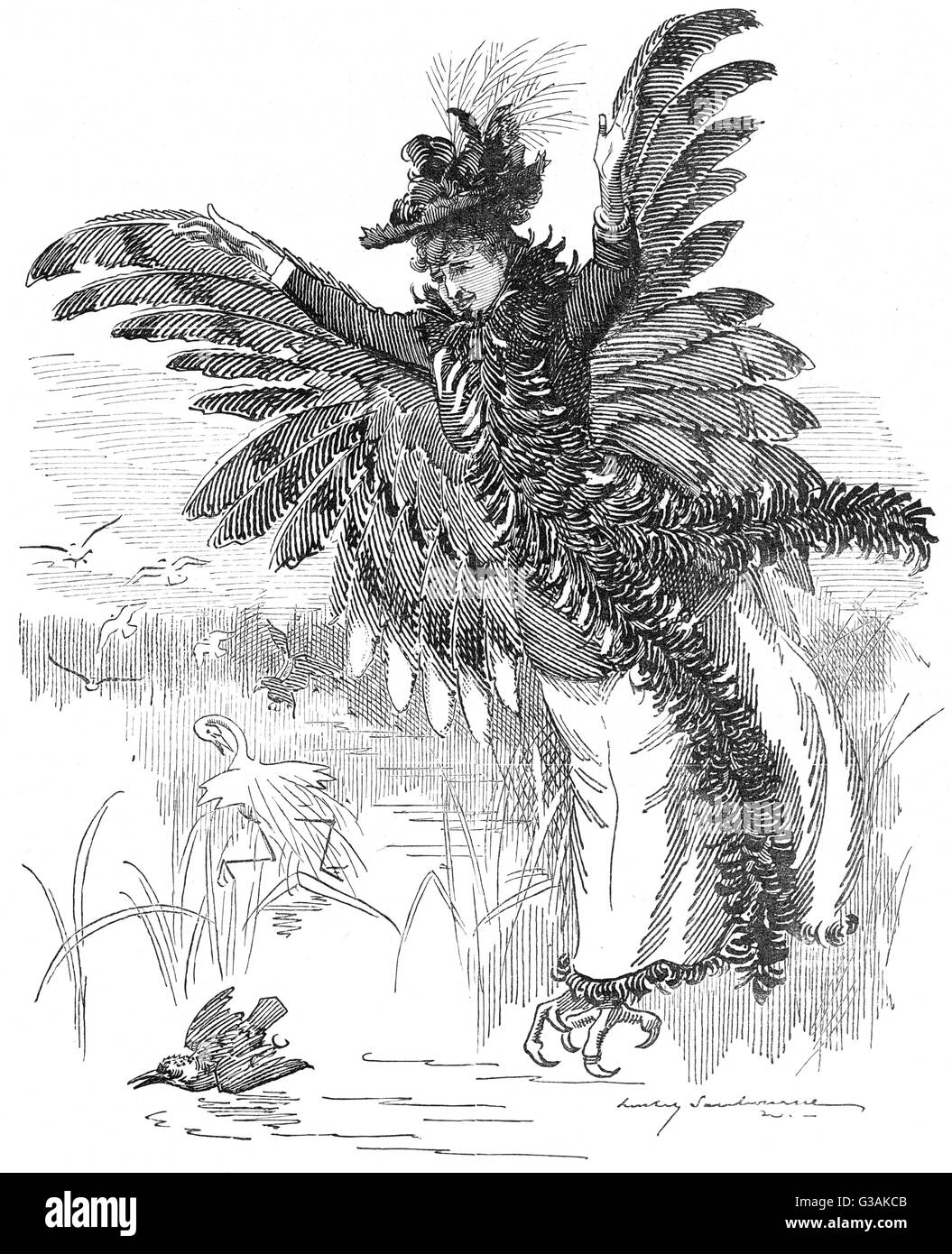 Satirical cartoon about the fashion for using wild bird feathers on hats and other accessories. &quot;Despite the laudable endeavours of The Society for the Protection of Birds [the Society was formed in 1889 and was granted its Royal Charter in 1904 beco Stock Photo