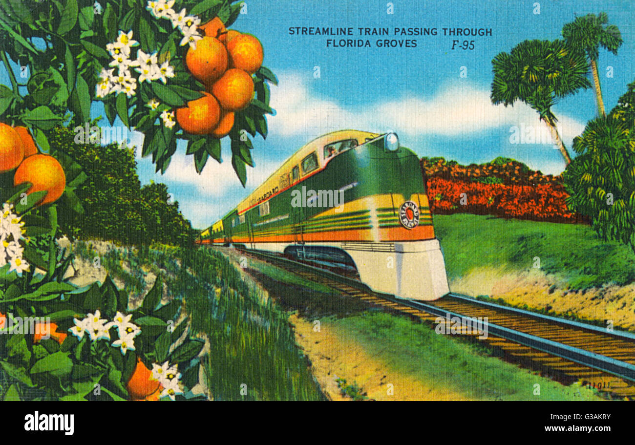 Streamline Train passing through Florida Orange groves.     Date: circa 1950s Stock Photo