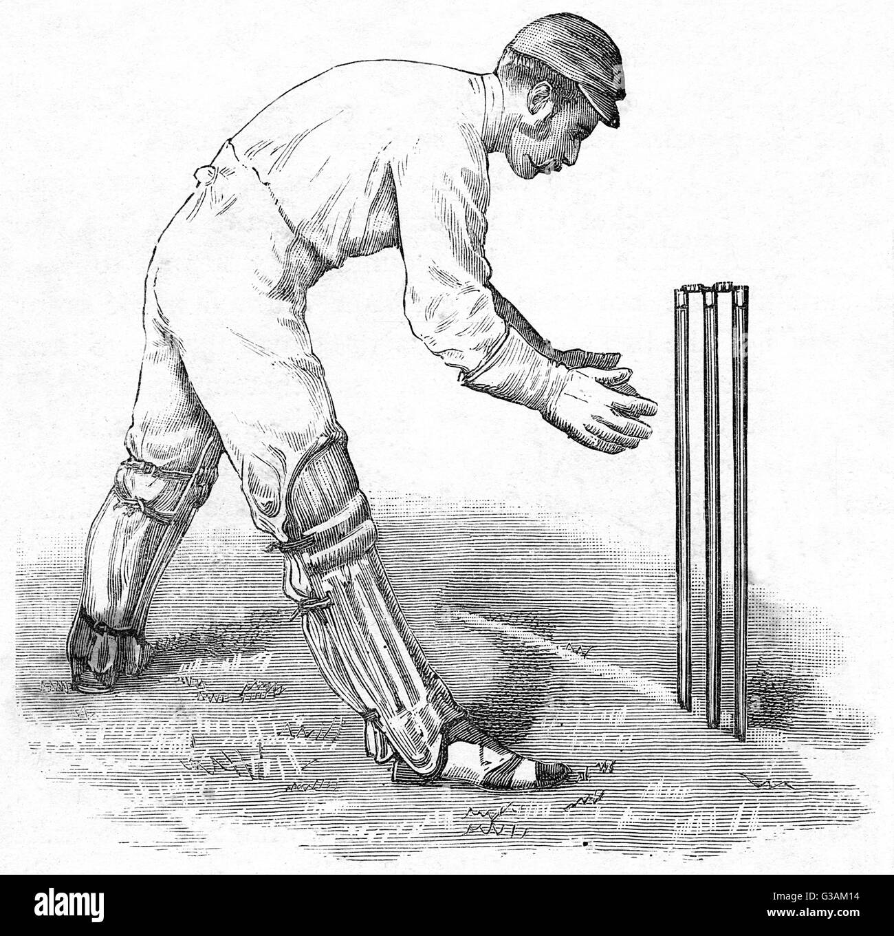 Cricket Wicket Keeping Stock Photo