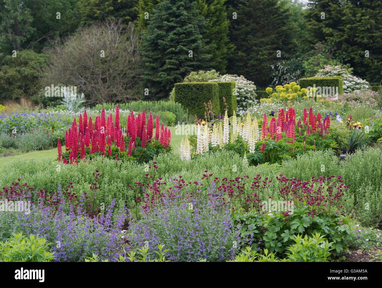 Waterperry Gardens in early june.  Oxfordshire, England Stock Photo