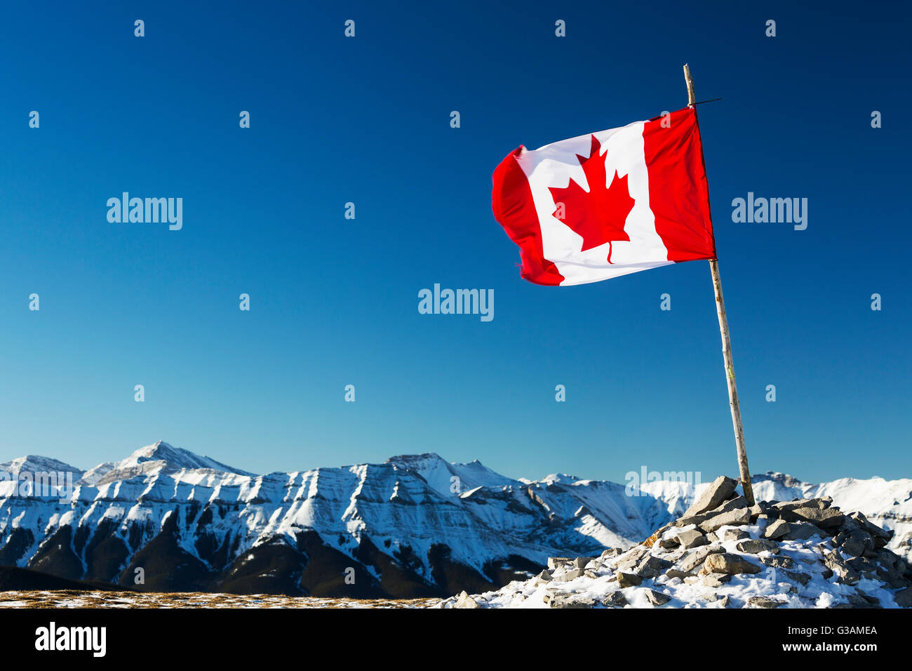 A Canadian Flag Blowing In The Wind Attached To A Wooden Branch Mounted By Snow Covered Rocks On Top Of A Mountain With Snow Covered Mountain Range... Stock Photo