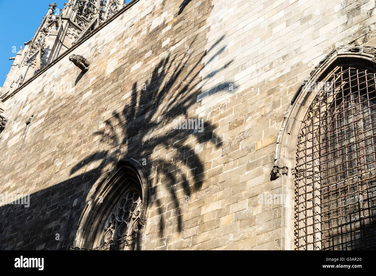 Shadow of a palm on a stone wall of the cathedral of Barcelona, Catalonia, Spain Stock Photo