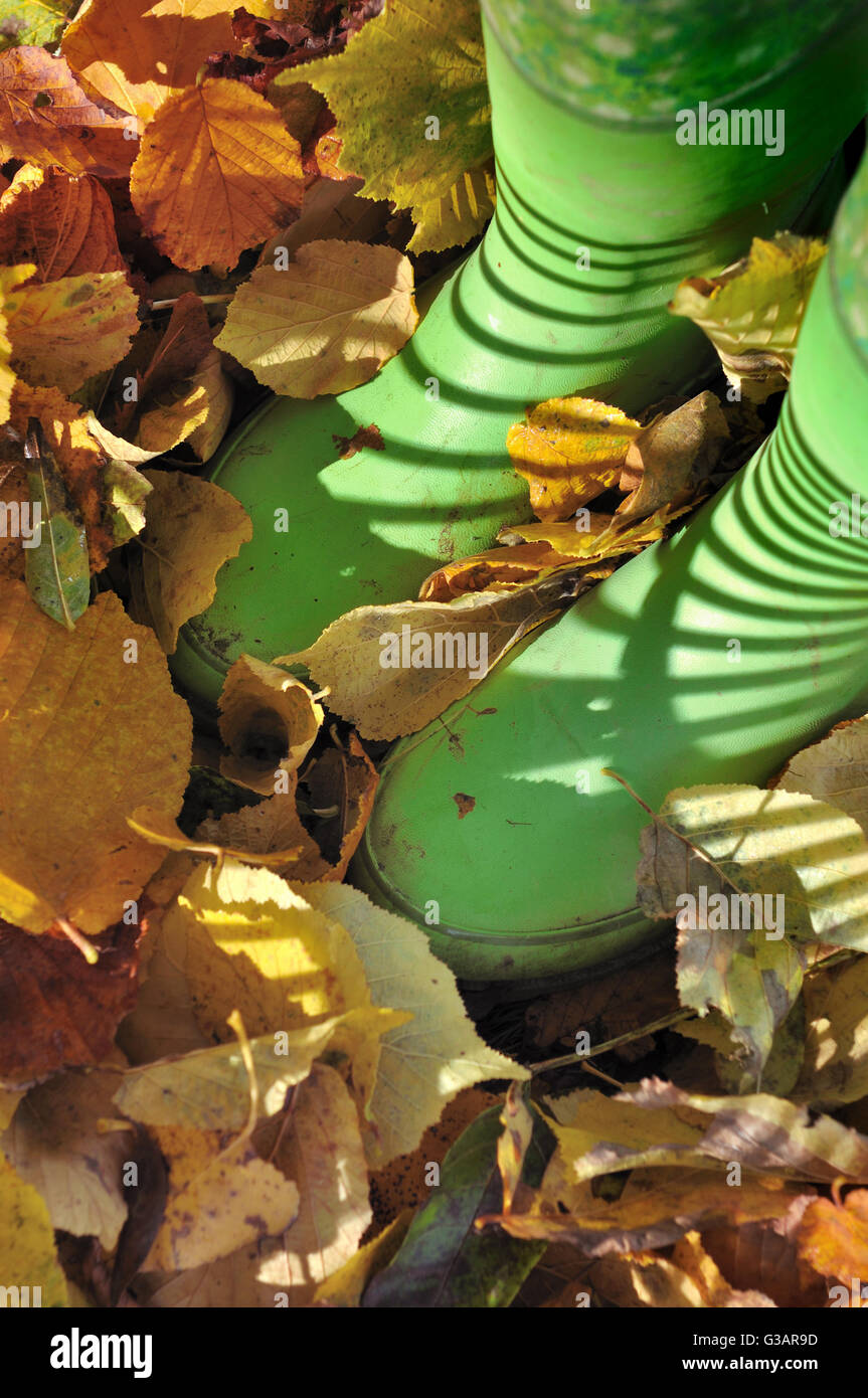 green rubber boots in dead golden leaves Stock Photo