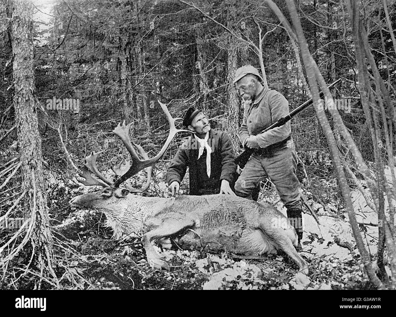 Historic Photo Print 1922 Hunters Carrying a Deer Kill 