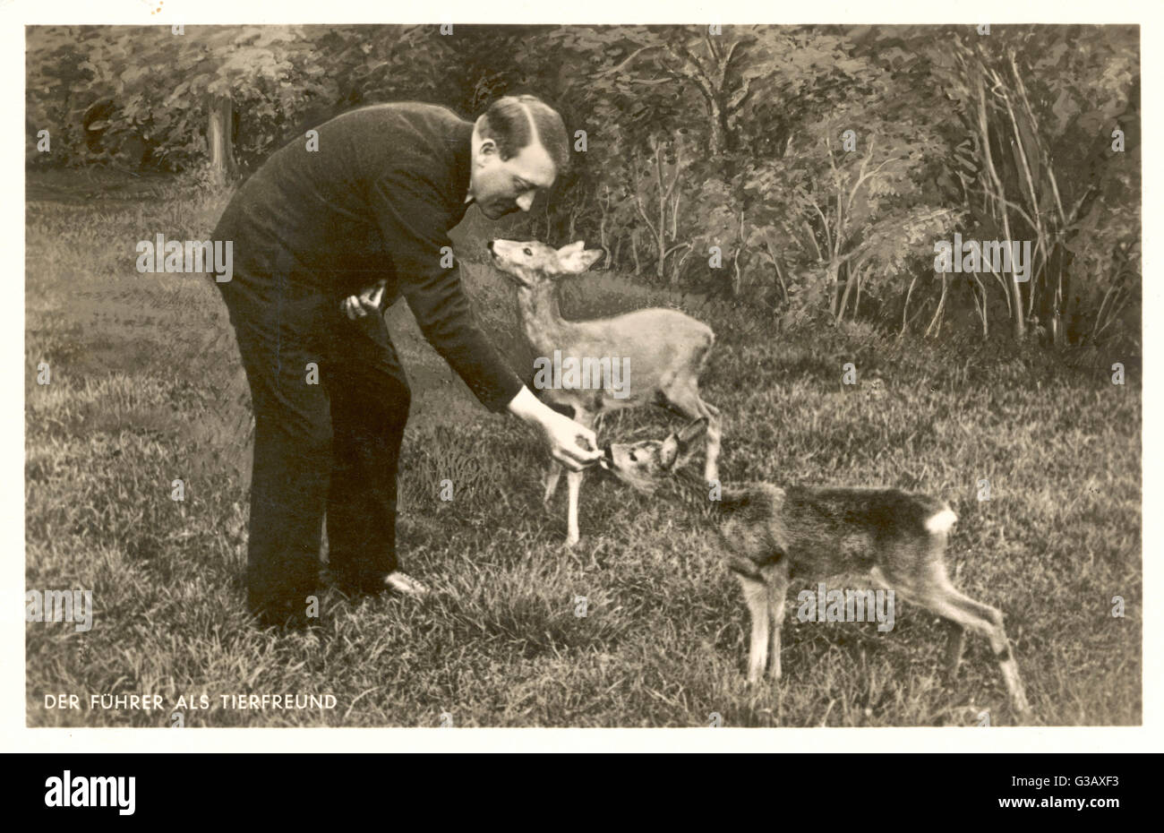 'Der Fuhrer als Tierfreund' Hitler as animal-lover         Date: 1930s Stock Photo