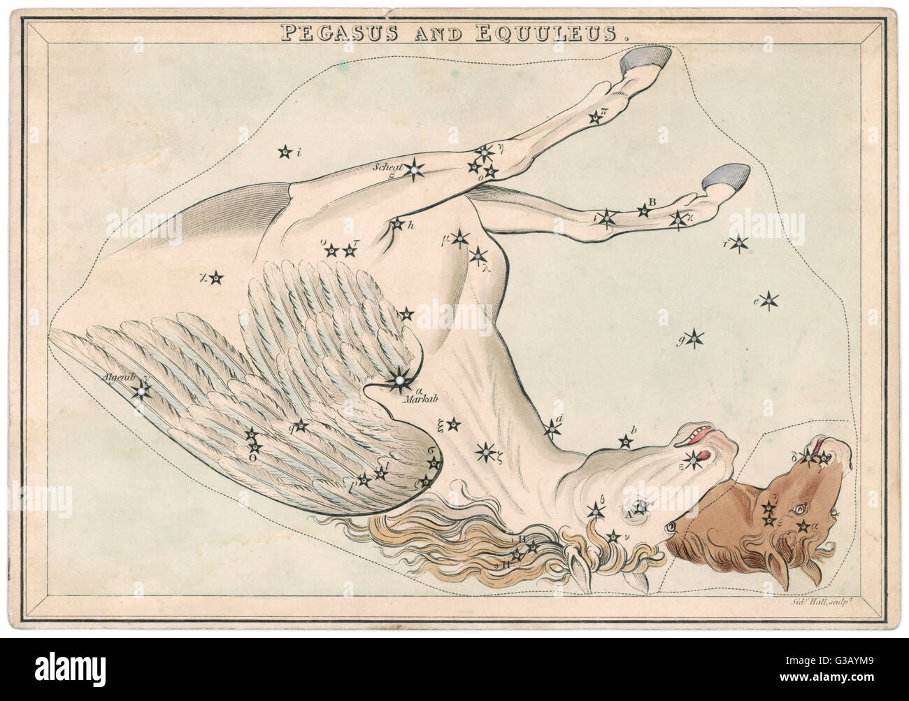 PEGASUS STAR MAP Stock Photo