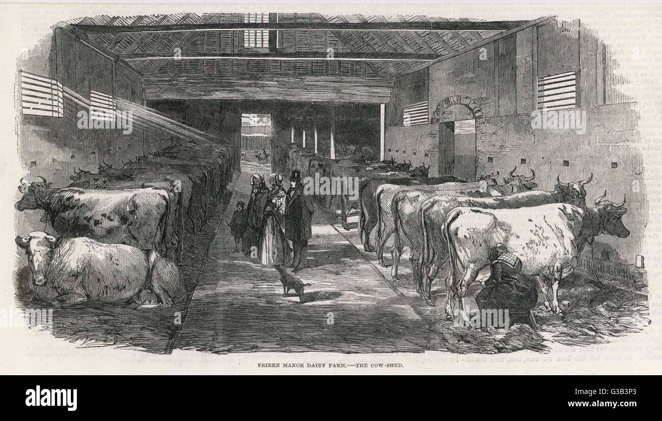 Dairy farming historical hires stock photography and images Alamy
