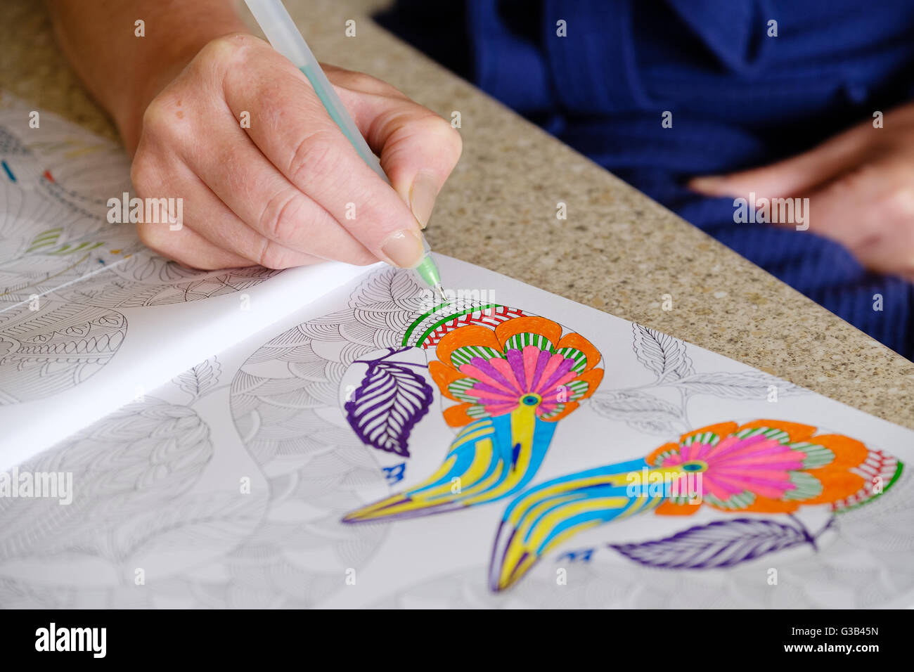 An adult passing time using a brightly coloured adult colouring book Stock Photo