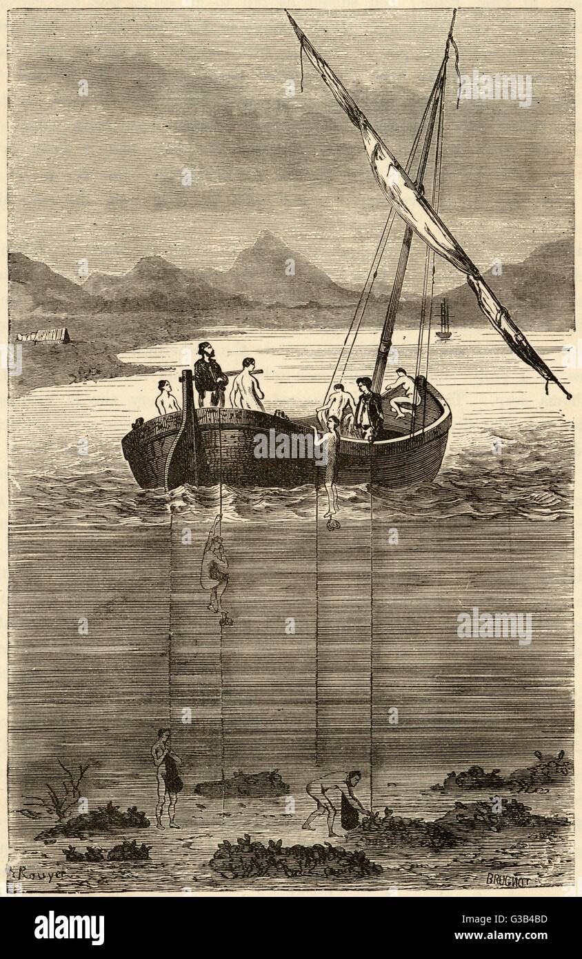 Diving for Pearls Stock Photo Alamy