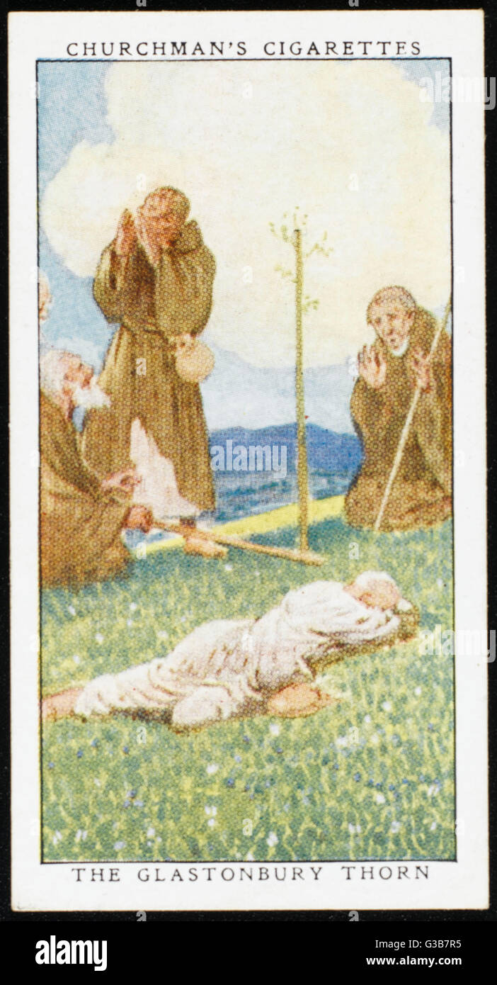 At Glastonbury Joseph of  Arimathea throws himself down  to rest &amp; thrusts his hawthorn  staff into the ground where it  miraculously takes root &amp;  becomes the Glastonbury thorn Stock Photo