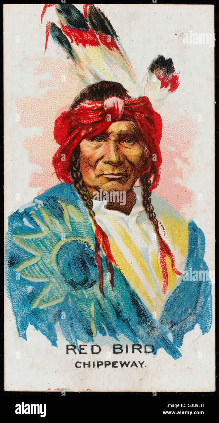 Red Bird Chief of the Chippewa (or Chippeway) tribe Date Stock Photo