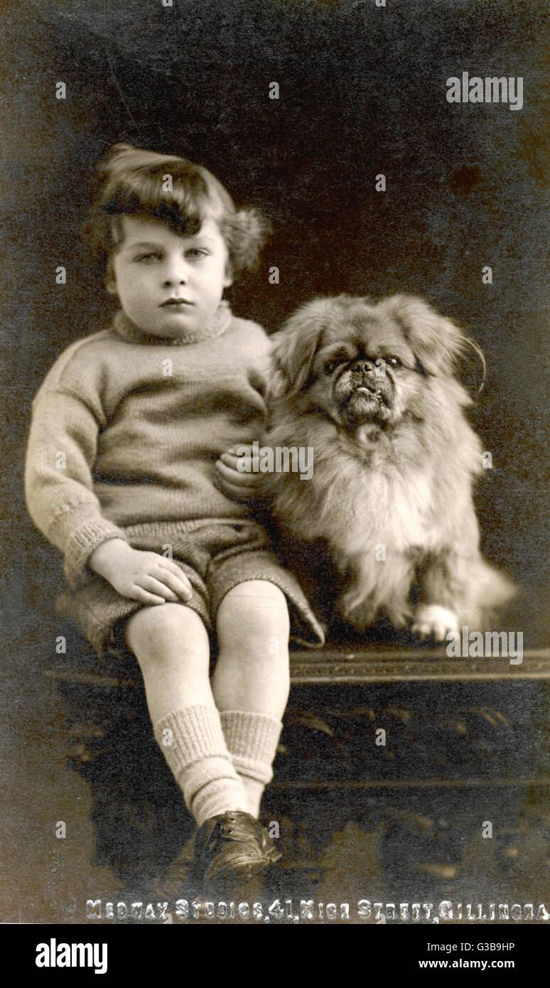 A child sits with his  pekingese.        Date: circa 1915 Stock Photo