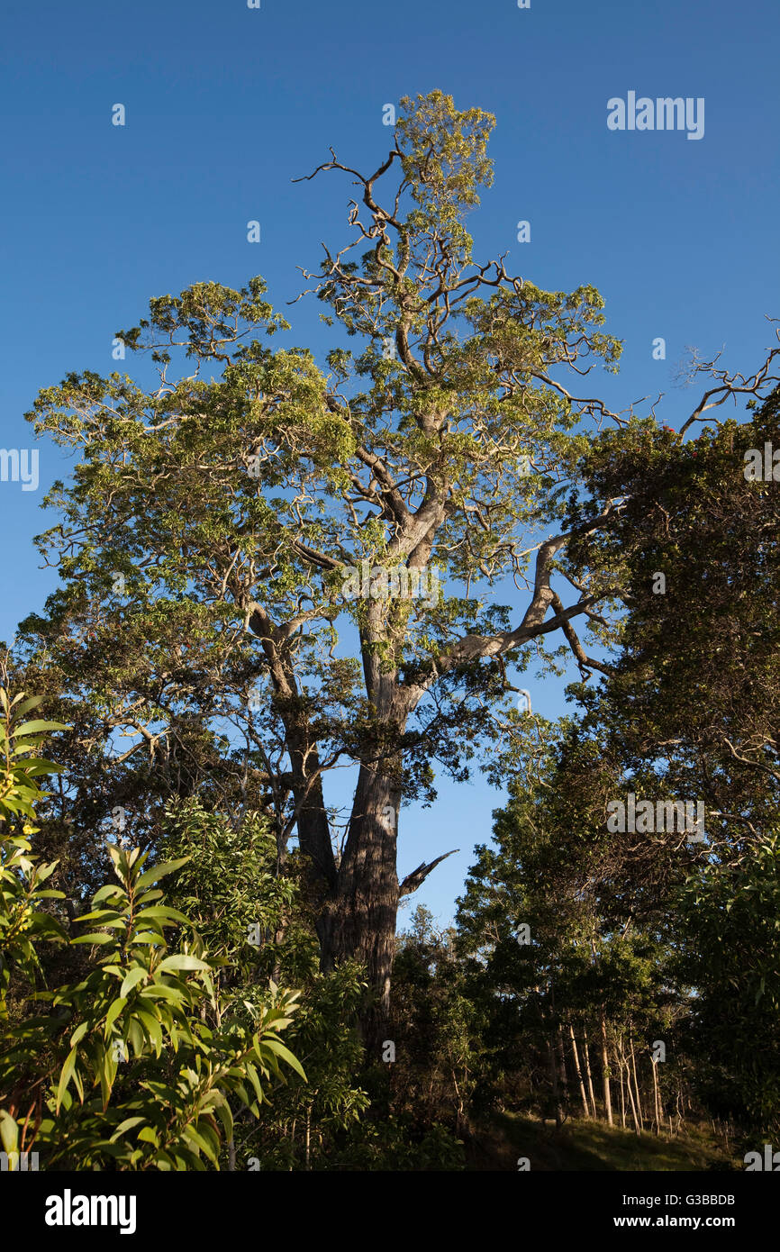 Tnc nature conservancy hires stock photography and images Alamy
