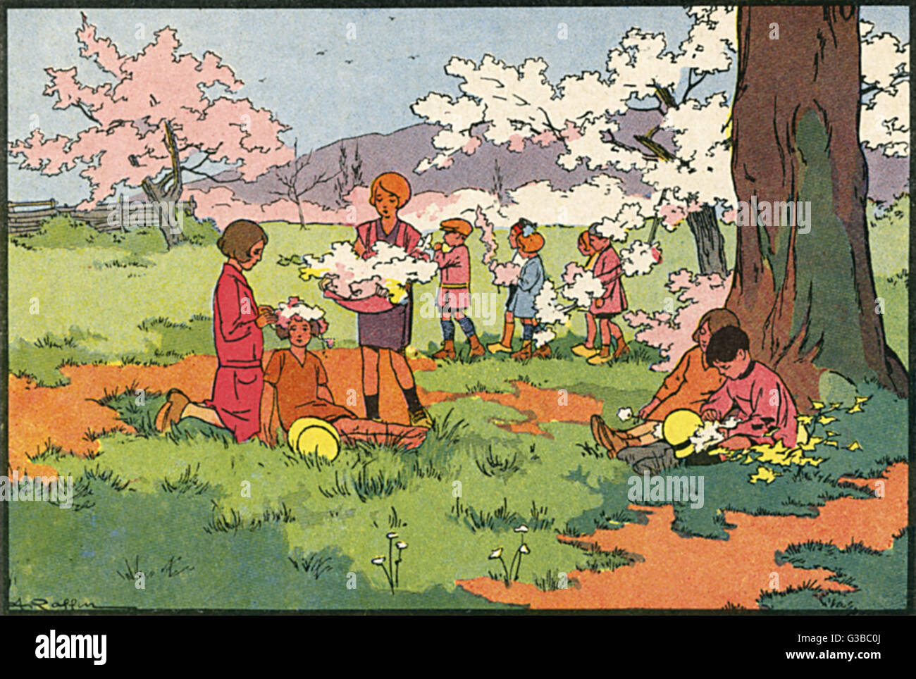 C flowers hires stock photography and images Alamy