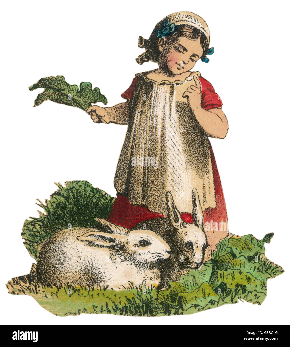 Girl feeds Rabbits - 1830s Stock Photo