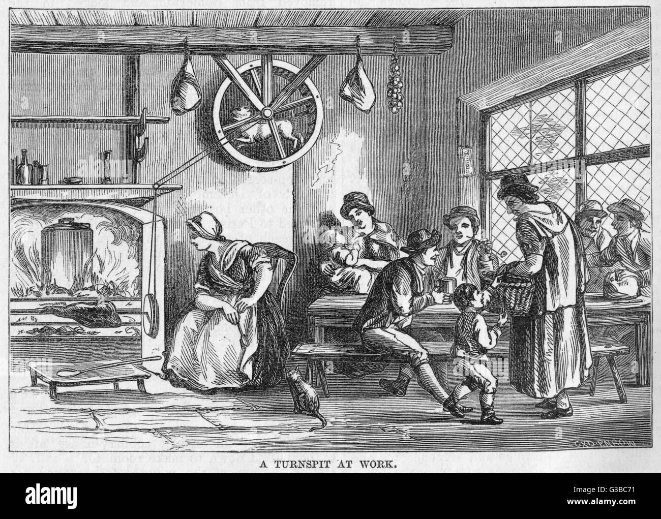 The Turnspit Dog High Resolution Stock Photography And Images Alamy