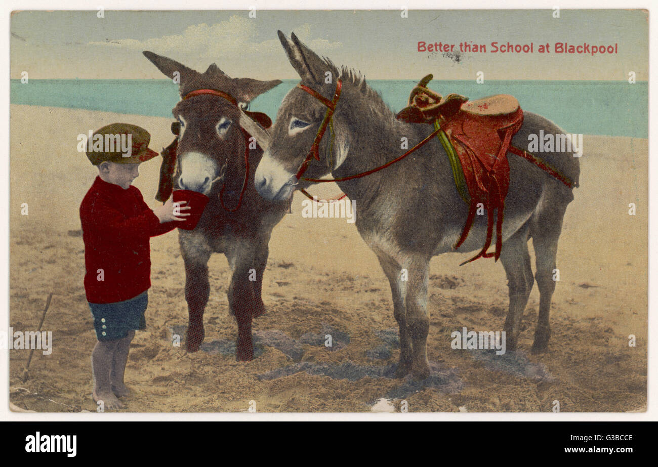 Seaside Donkey Rides Historical Stock Photos & Seaside 