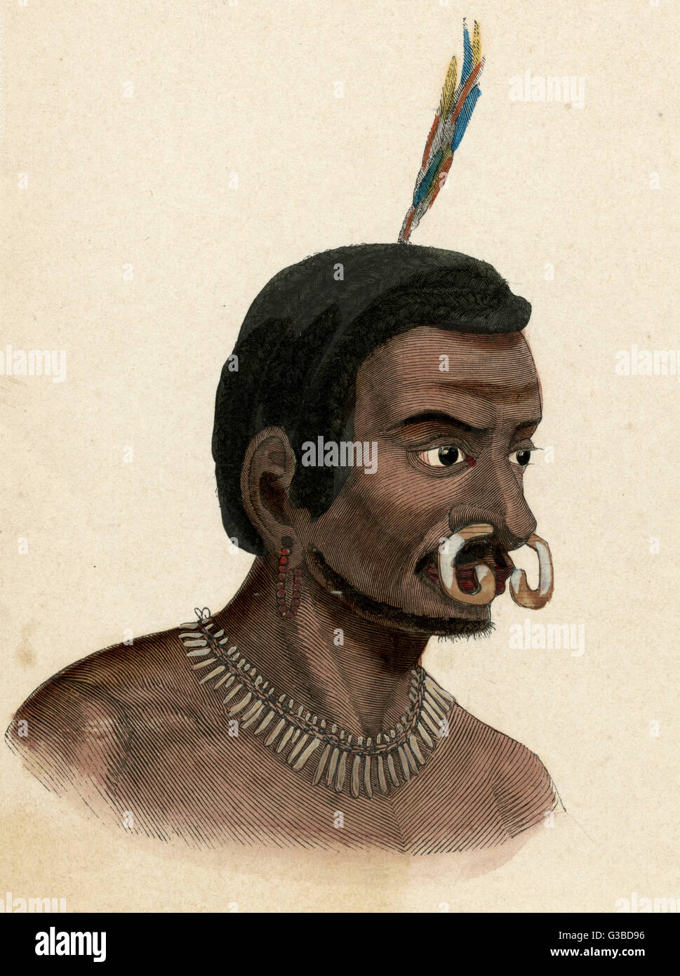 Man of New Guinea with a curved bone through his nose.       Date: circa 1870 Stock Photo