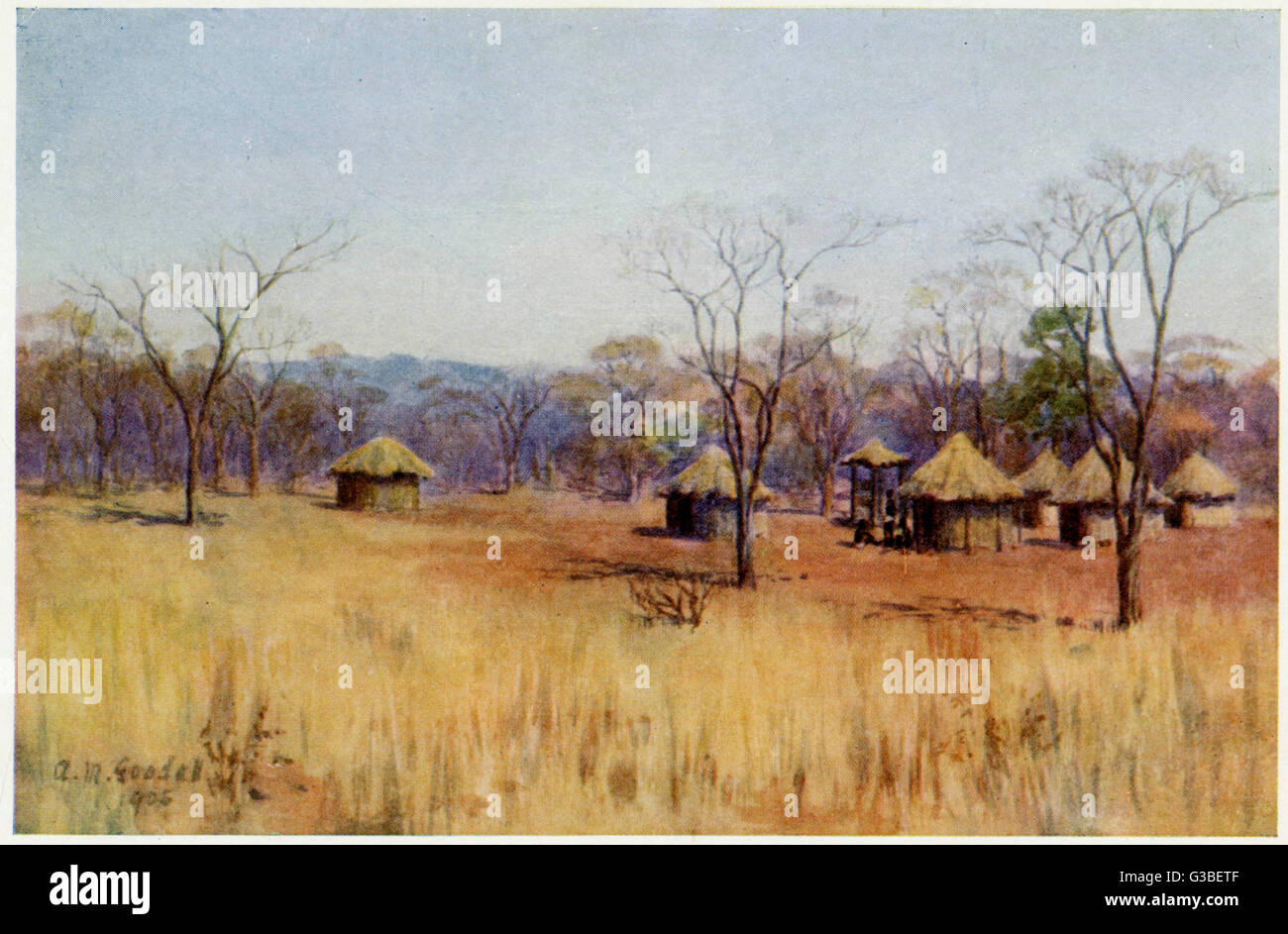 Kaffir huts on an African  plain         Date: 1905 Stock Photo