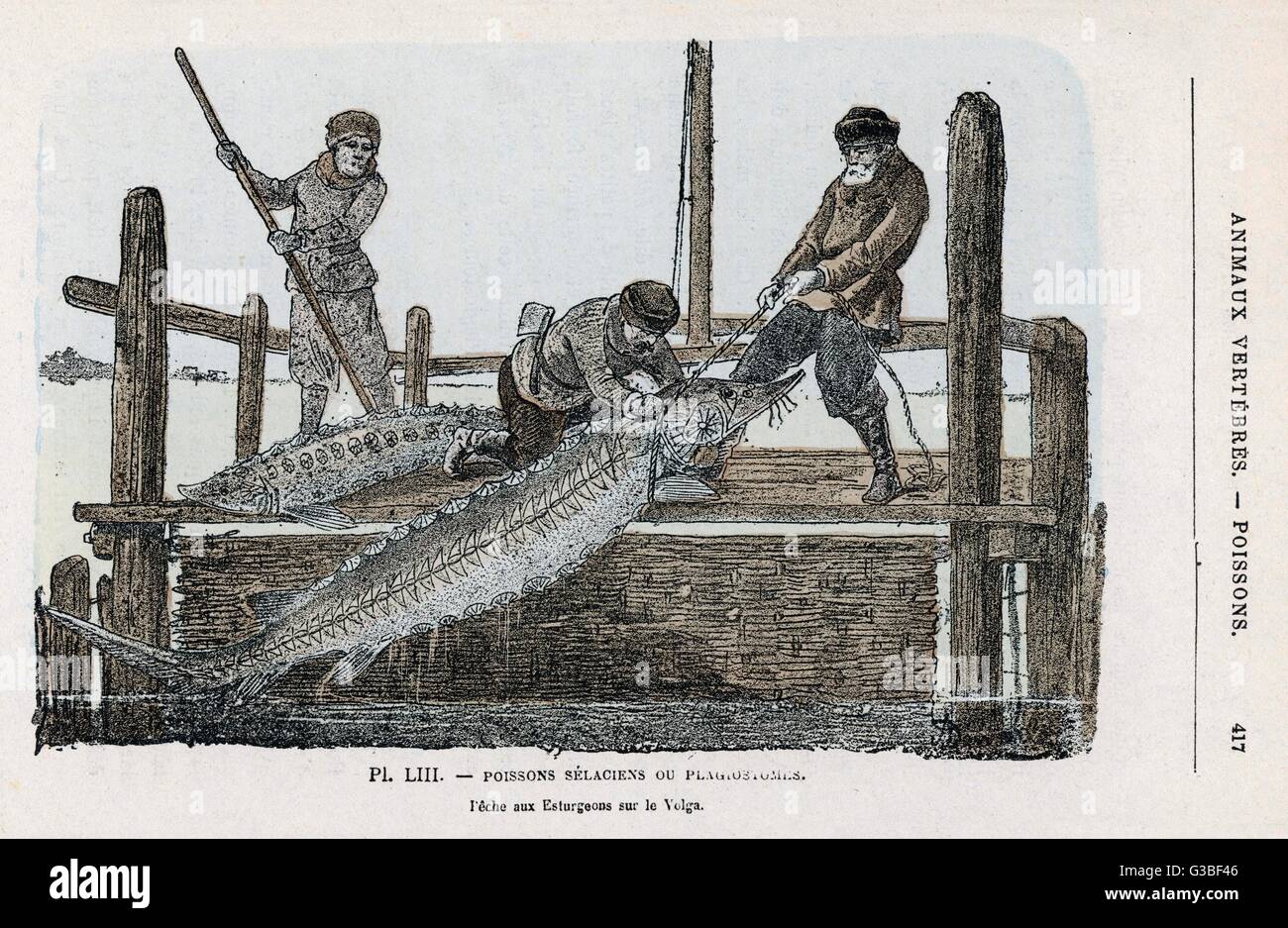 Yekaterinburgda BDSM studiyasini ijaraga olish