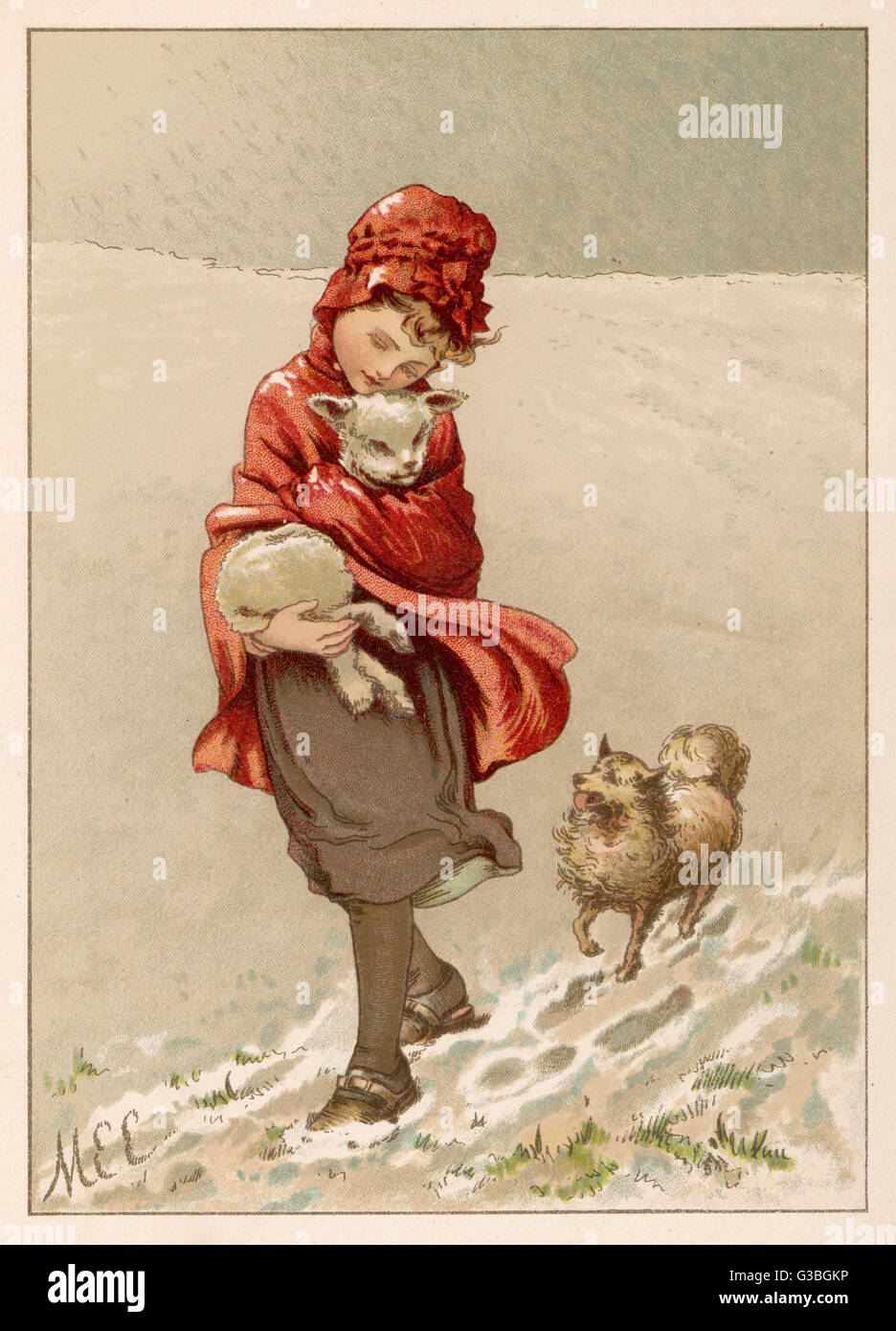A young girl rescues a spring  lamb from the snow.        Date: circa 1880 Stock Photo