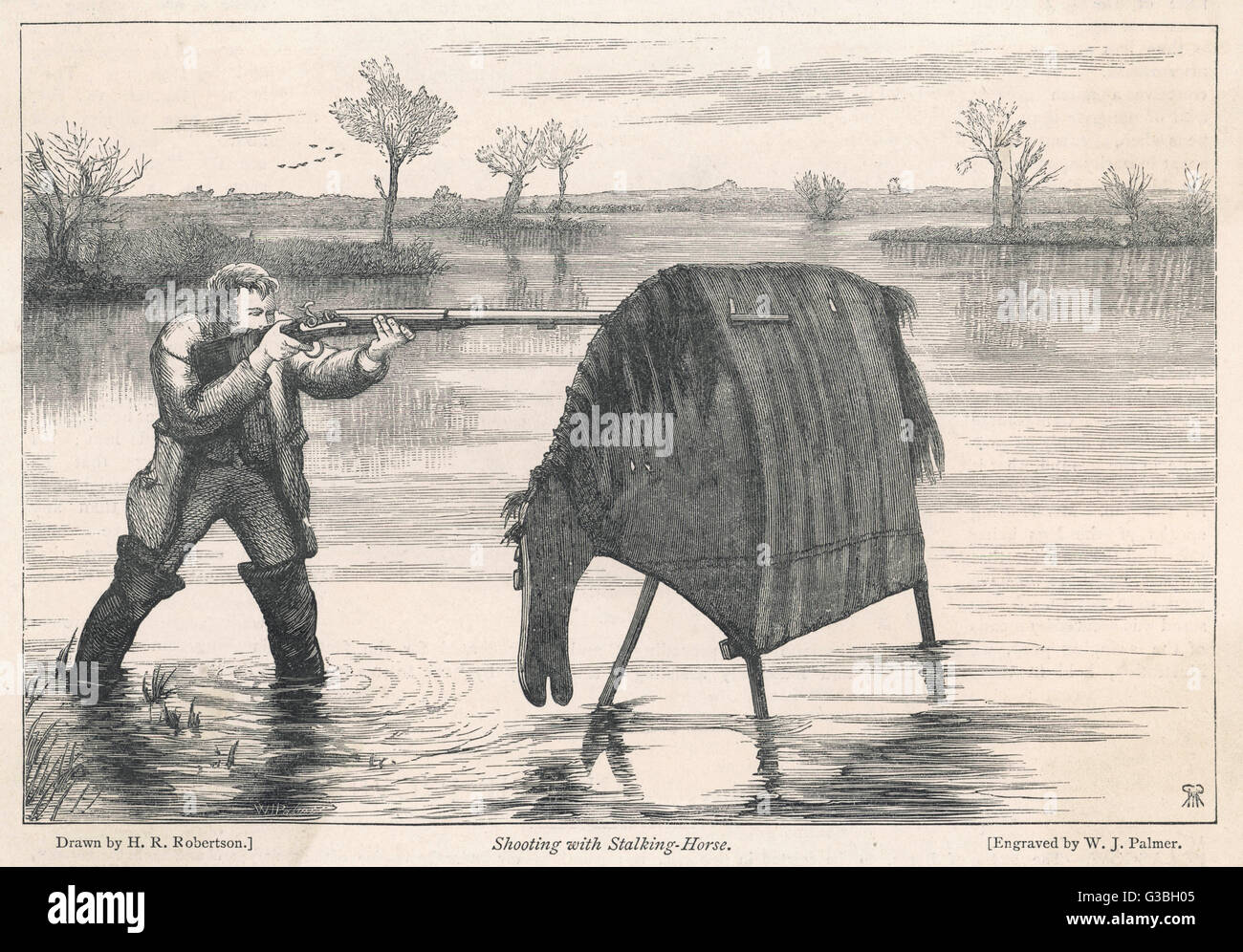 STALKING HORSE USED Stock Photo Alamy