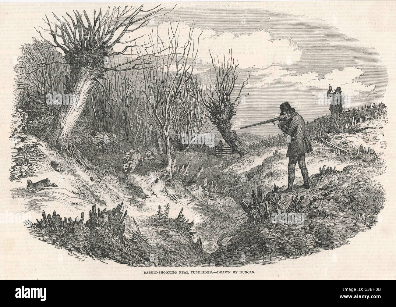 Rabbit shooting hi-res stock photography and images - Alamy