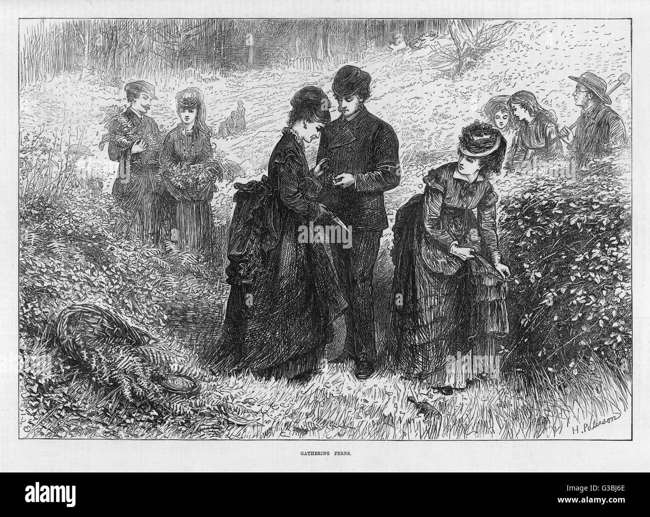 Ladies and gentlemen engaging  in the popular pastime of  fern hunting.  They would  gather ferns for decorative  purposes.       Date: 1871 Stock Photo