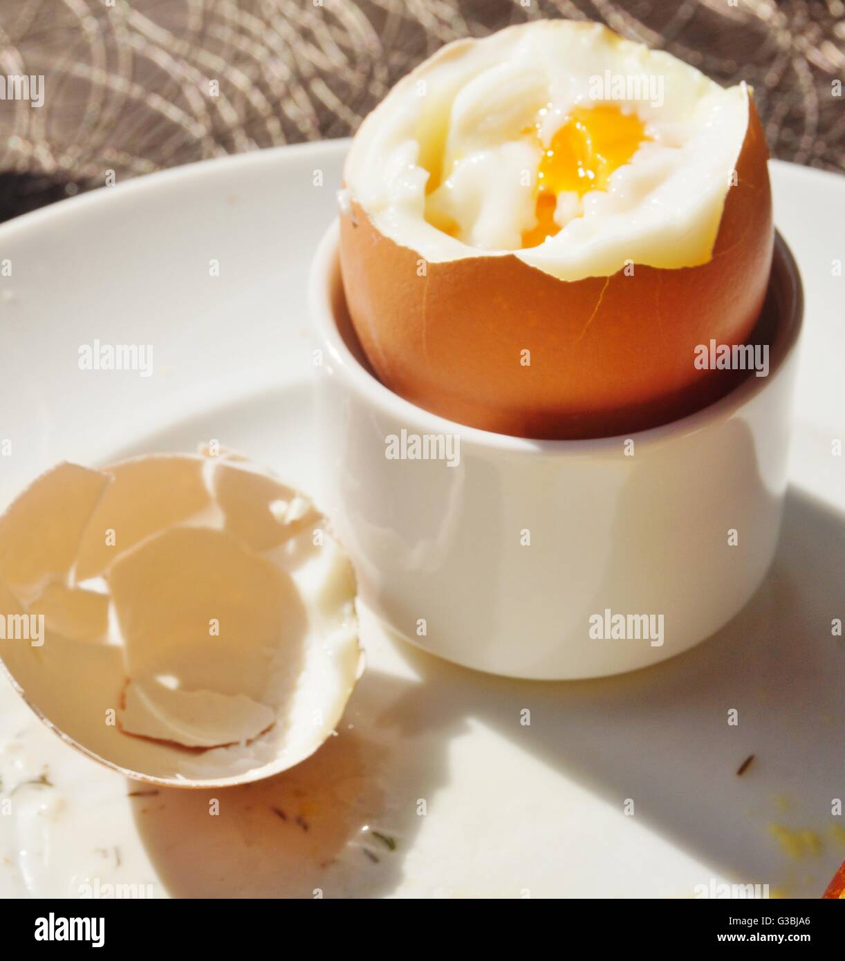 https://c8.alamy.com/comp/G3BJA6/eating-a-soft-boiled-egg-for-breakfast-G3BJA6.jpg