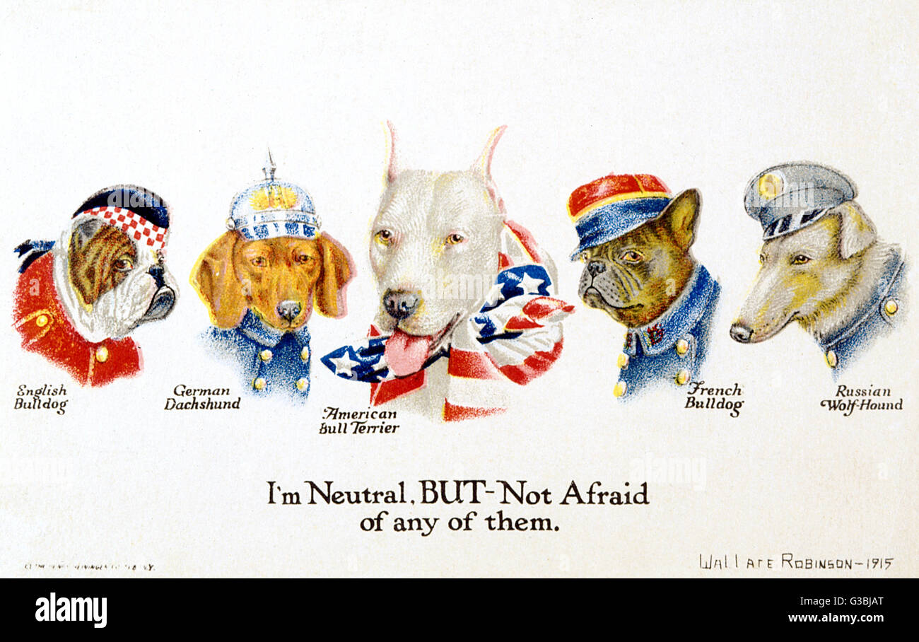 WWI - Friends and Foes - Dog Breeds of WWI combatants Stock Photo