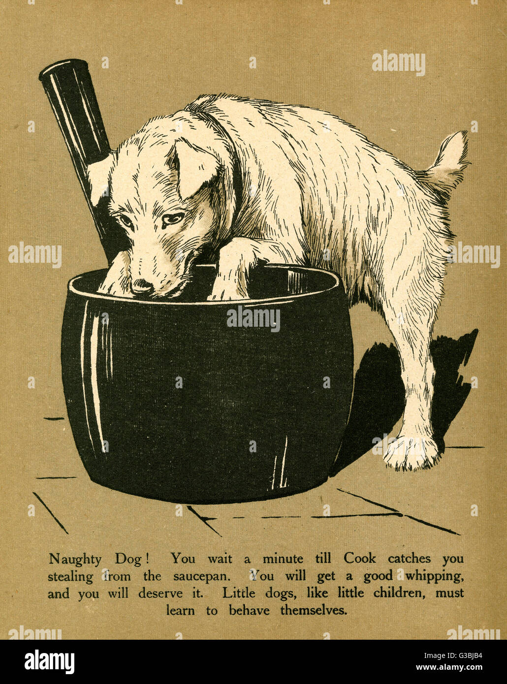 A naughty dog helps himself to the contents of a saucepan.        Date: circa 1912 Stock Photo