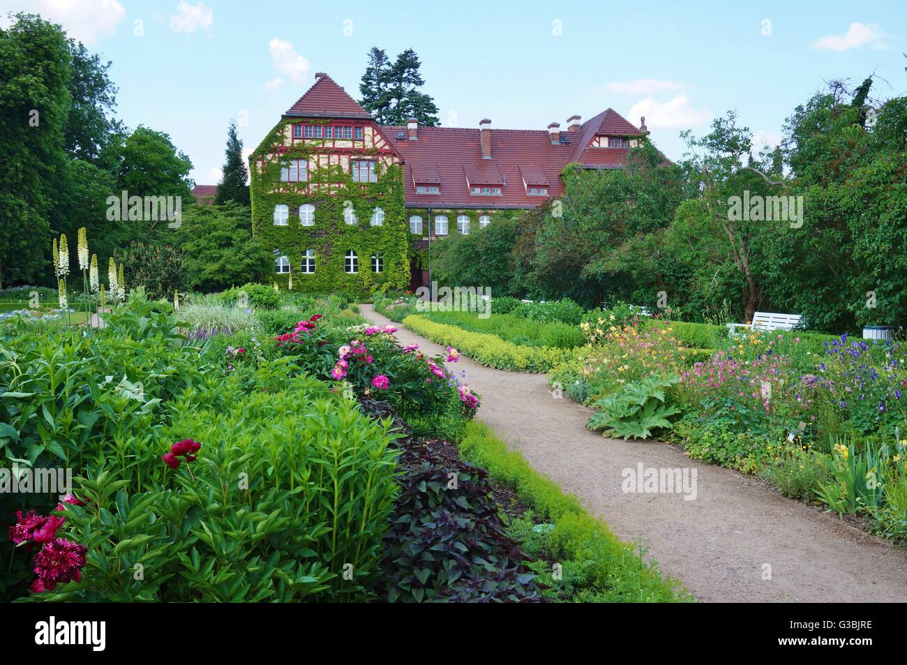 The Berlin Dahlem Botanical Garden (Botanischer Garten Stock Photo Alamy