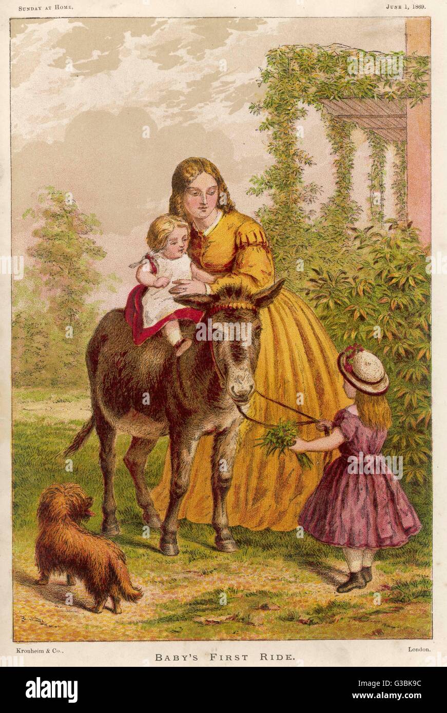 'BABY'S FIRST RIDE' - mama  holds baby on the donkey's  back, while sister holds the  reins and clutches some leaves  to reward the animal which is  apprensively eyeing the dog.     Date: 1869 Stock Photo