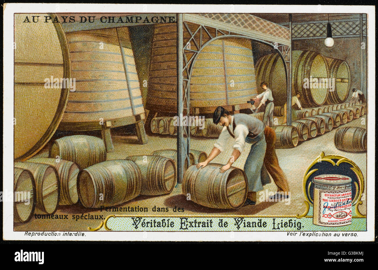 Fermentation takes place first  in the huge 'cuves', for a few  days, then in 200-litre  barrels in which the wine  stays fermenting until June. card 4 of 6     Date: early 20th century Stock Photo