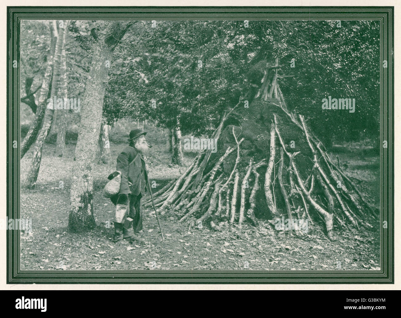 NEW FOREST SNAKE CATCHER Stock Photo Alamy