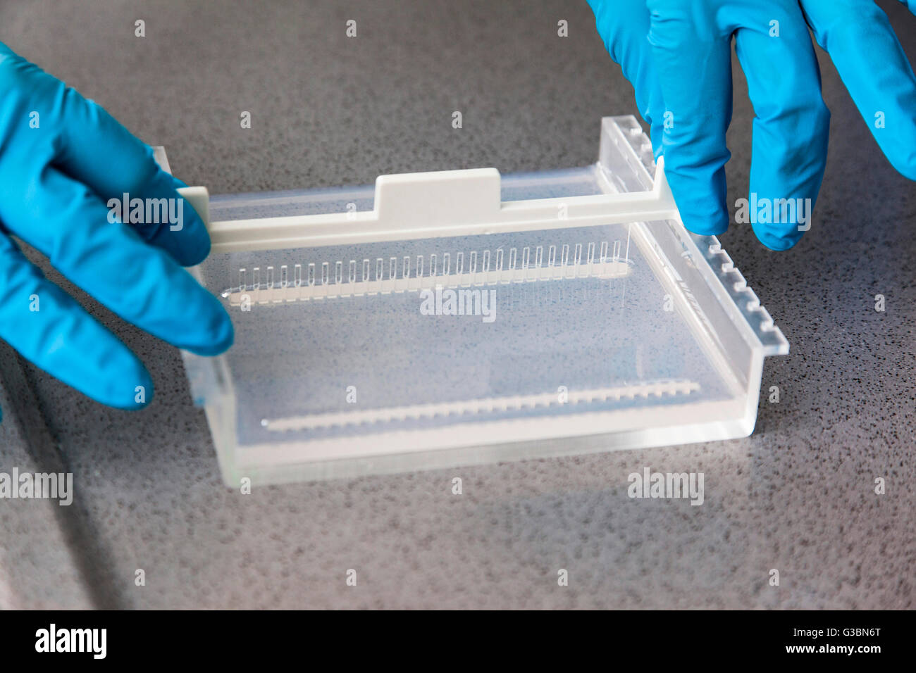 Electrophoresis system hires stock photography and images Alamy