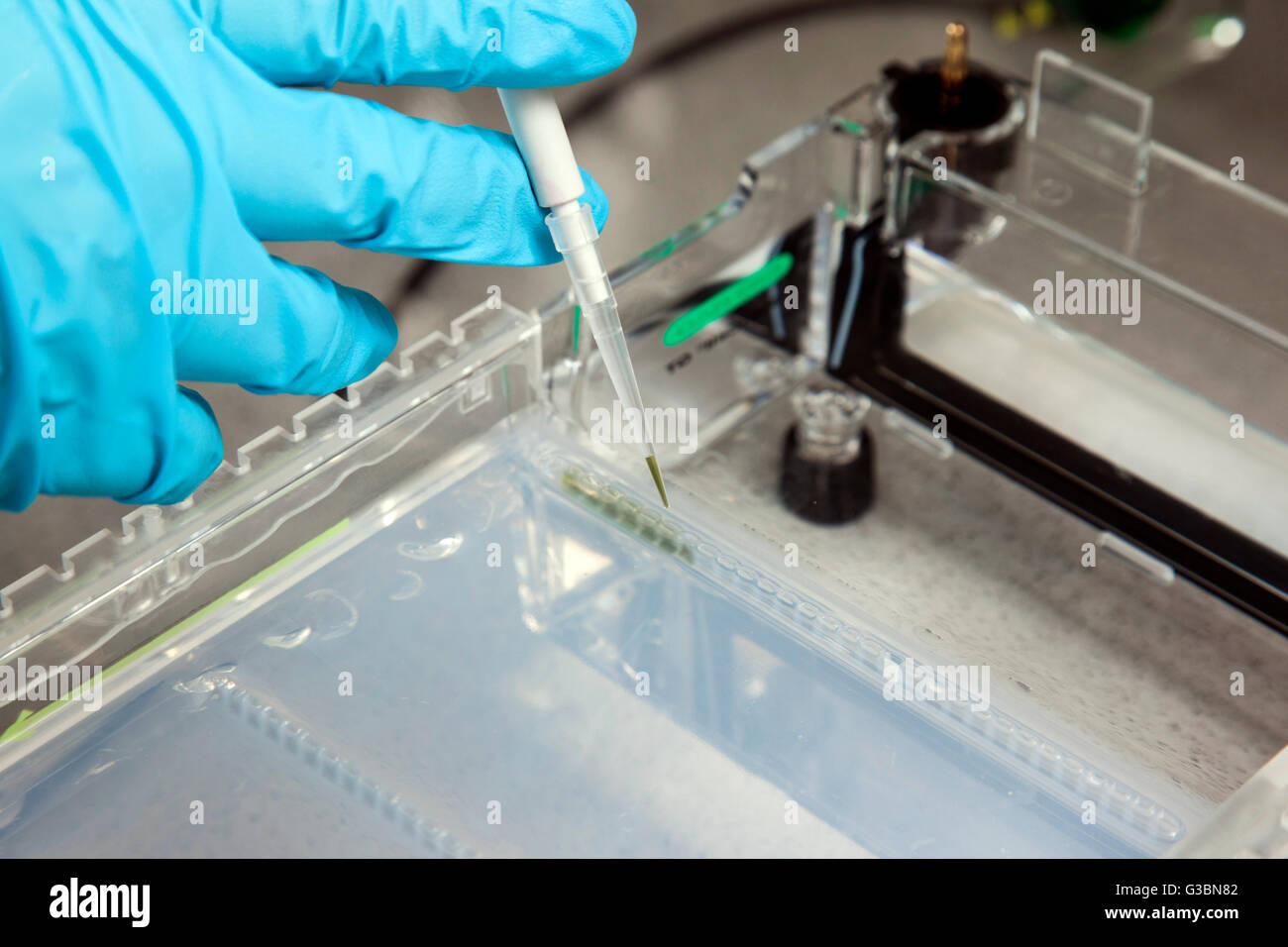 Electrophoresis system hires stock photography and images Alamy