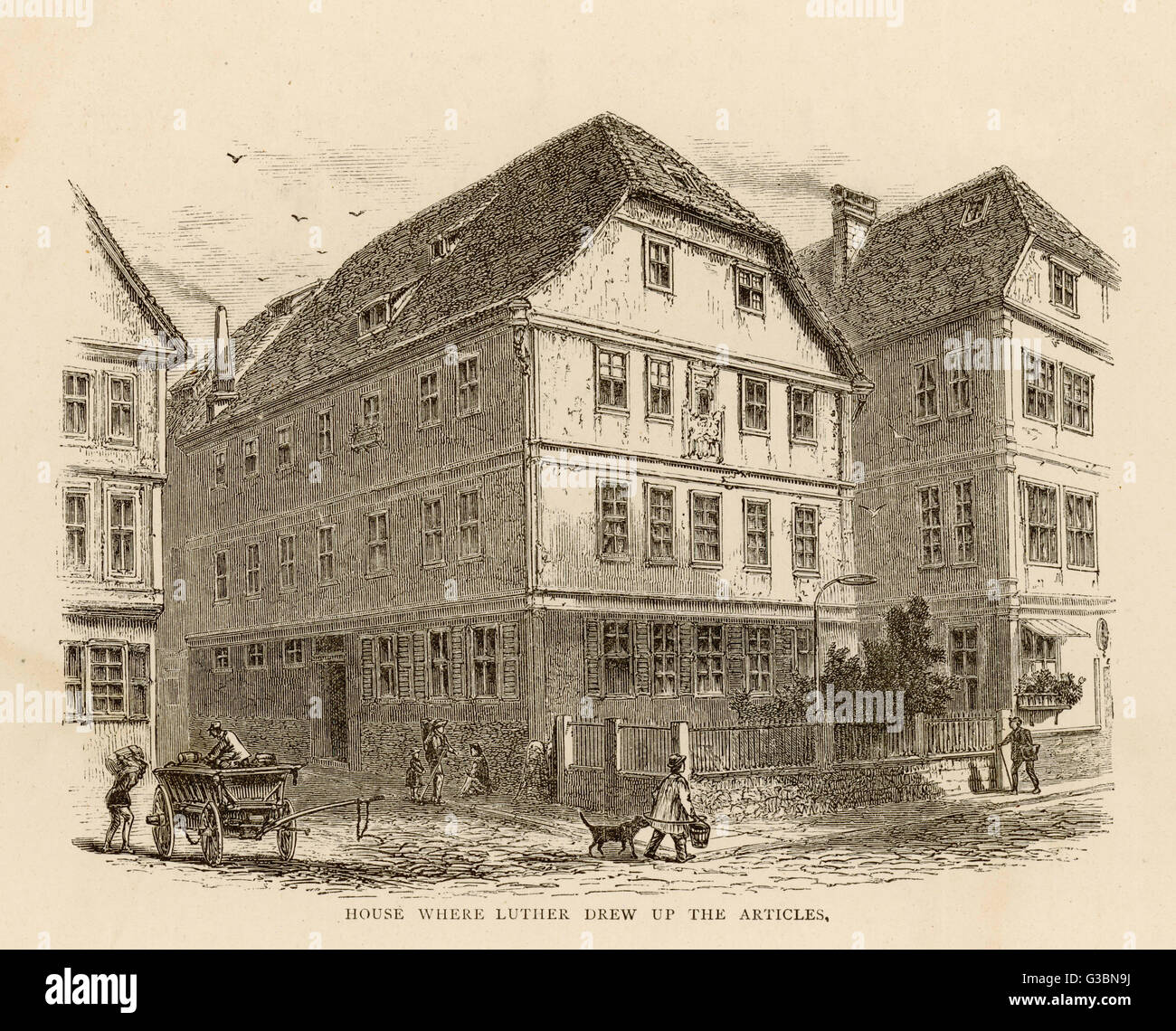 Dating wittenberg