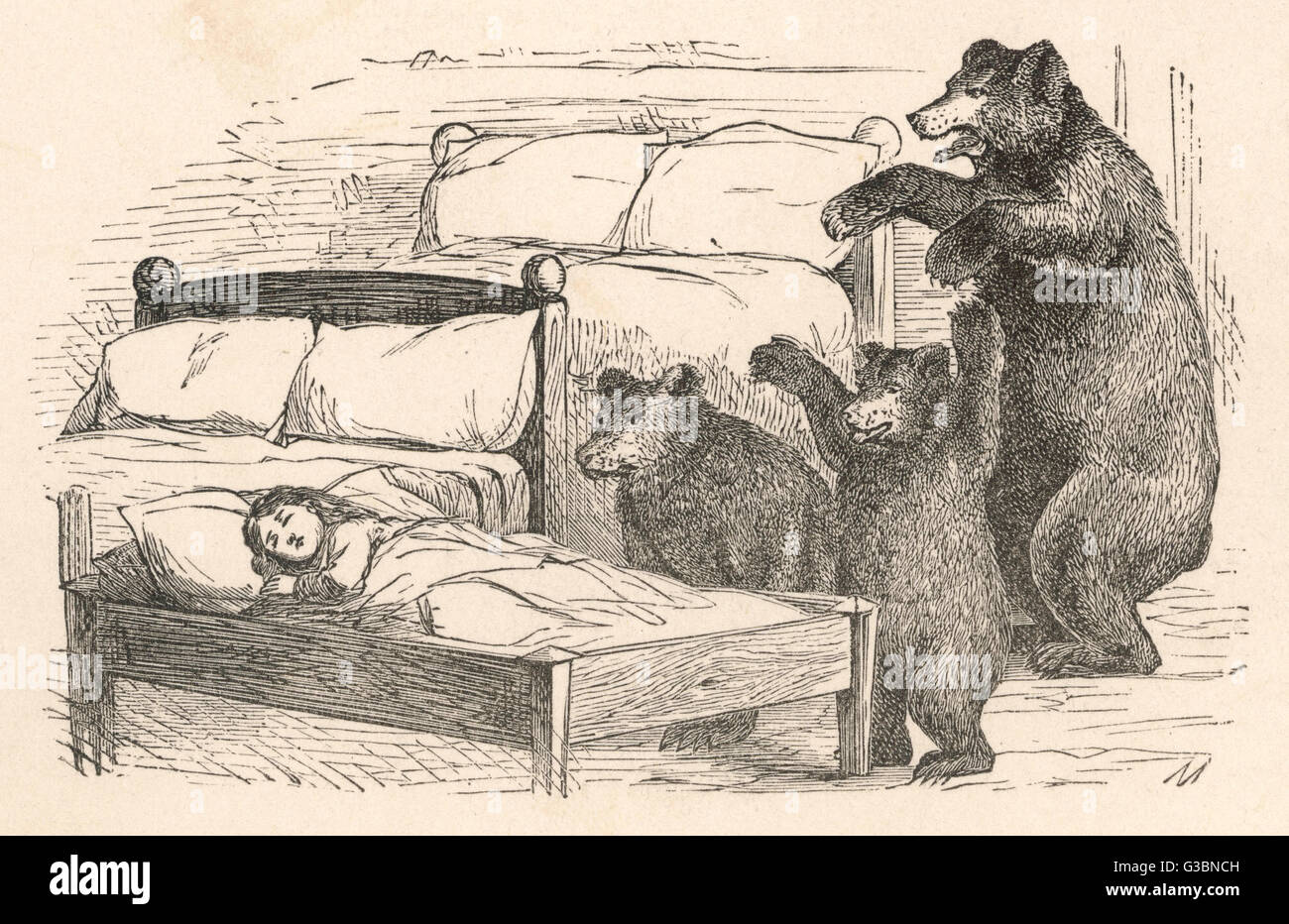 Mother Bear Goldilocks
