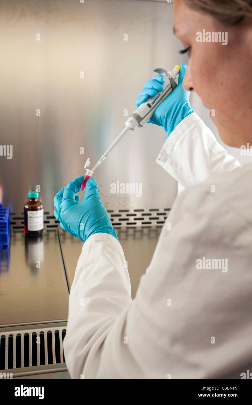 RNA isolation in a laboratory Stock Photo Alamy