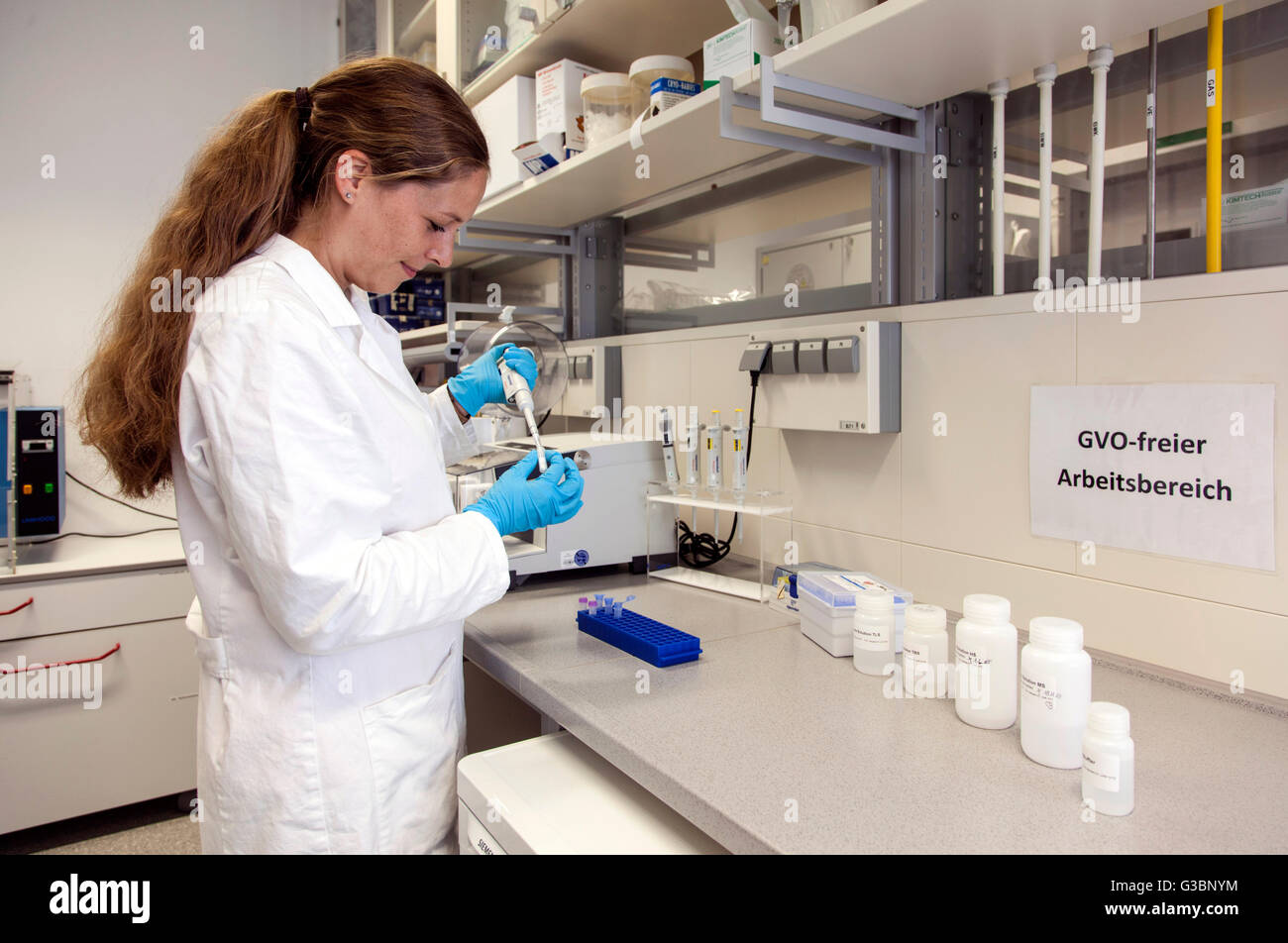 Researcher at a Benchtop homogenizer for cell lysis of DNA, RNA and