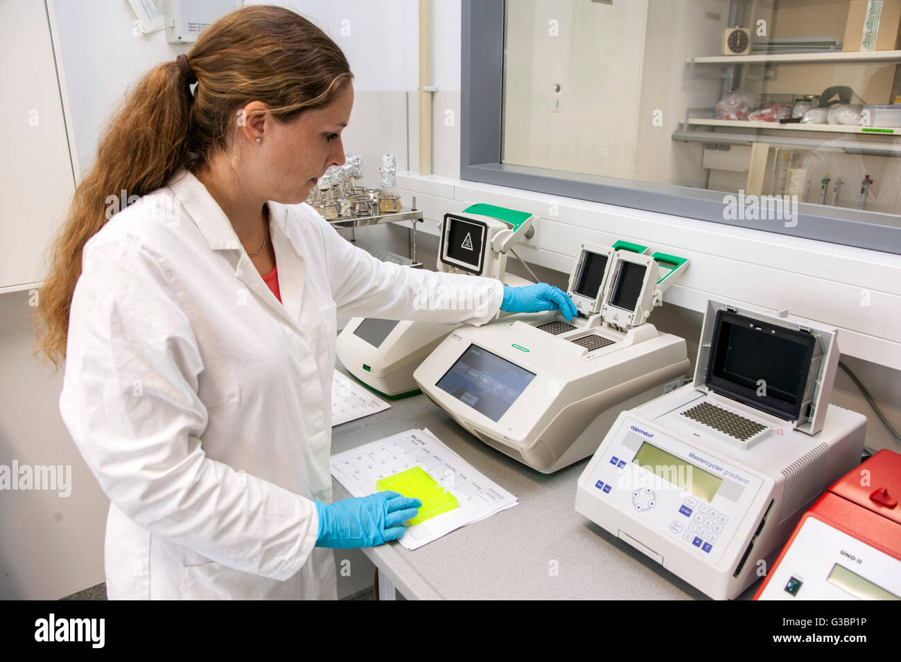 Biologist in the laboratory at the university Stock Photo Alamy
