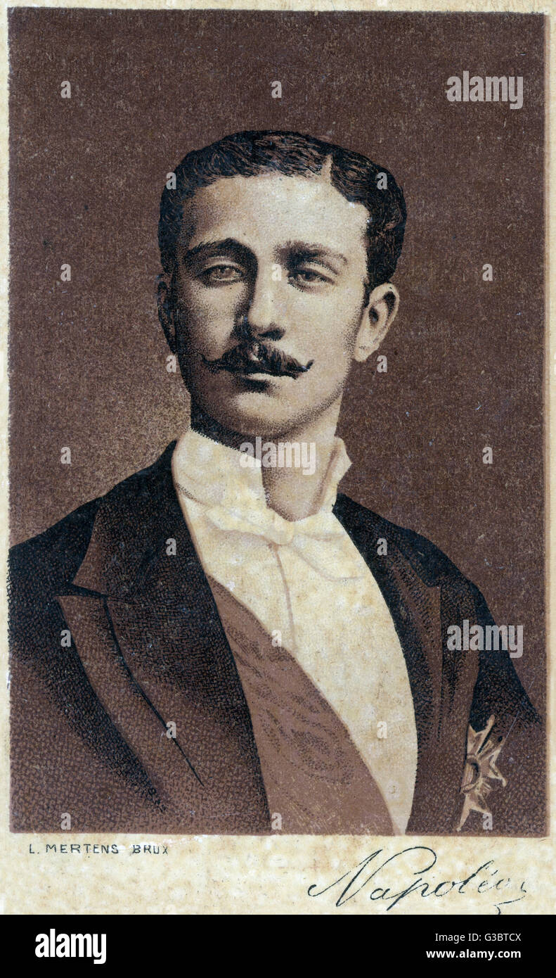 Louis Napoleon, Prince Imperial of France Stock Photo - Alamy