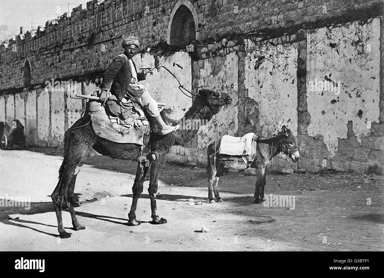Fellah with camel and donkey, Jerusalem Stock Photo