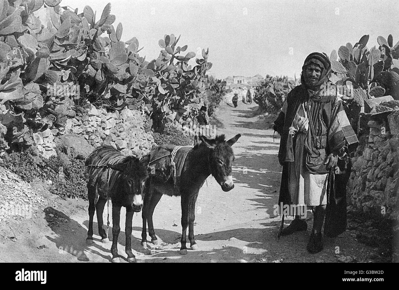 A fellah (Arab peasant, farmer or agricultural labourer) with two donkeys on a narrow road with