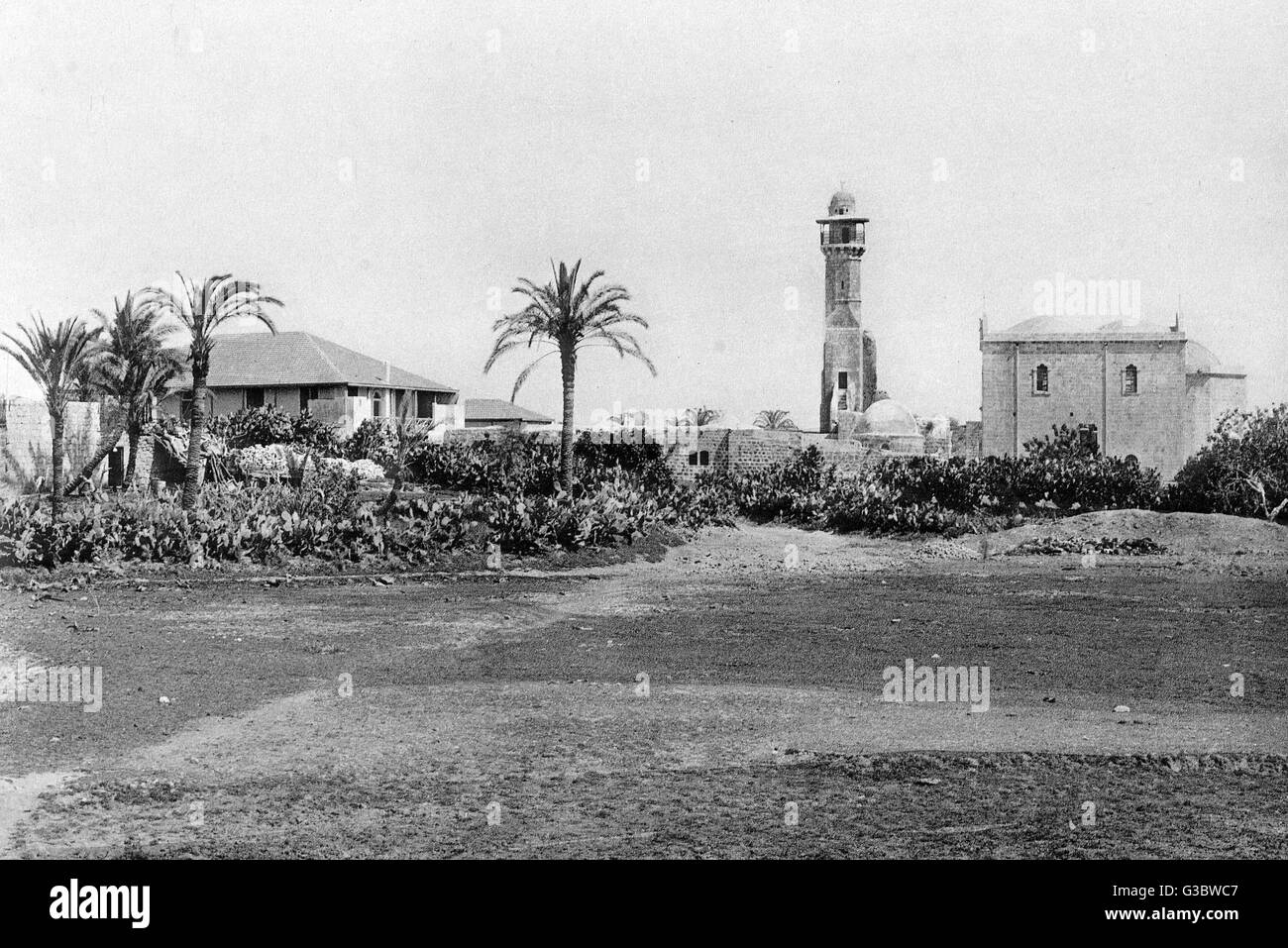 View of Lydda (Lod), Western Israel Stock Photo
