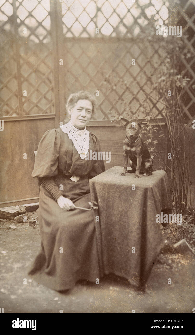 Old lady dog hi-res stock photography and images - Alamy