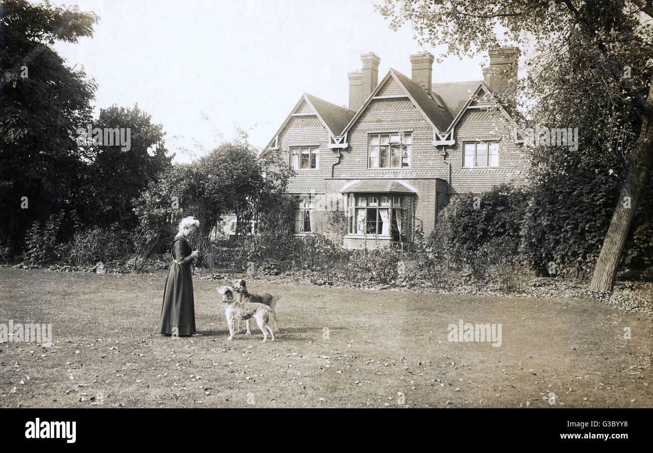 Woman and dogs in back garden Stock Photo - Alamy